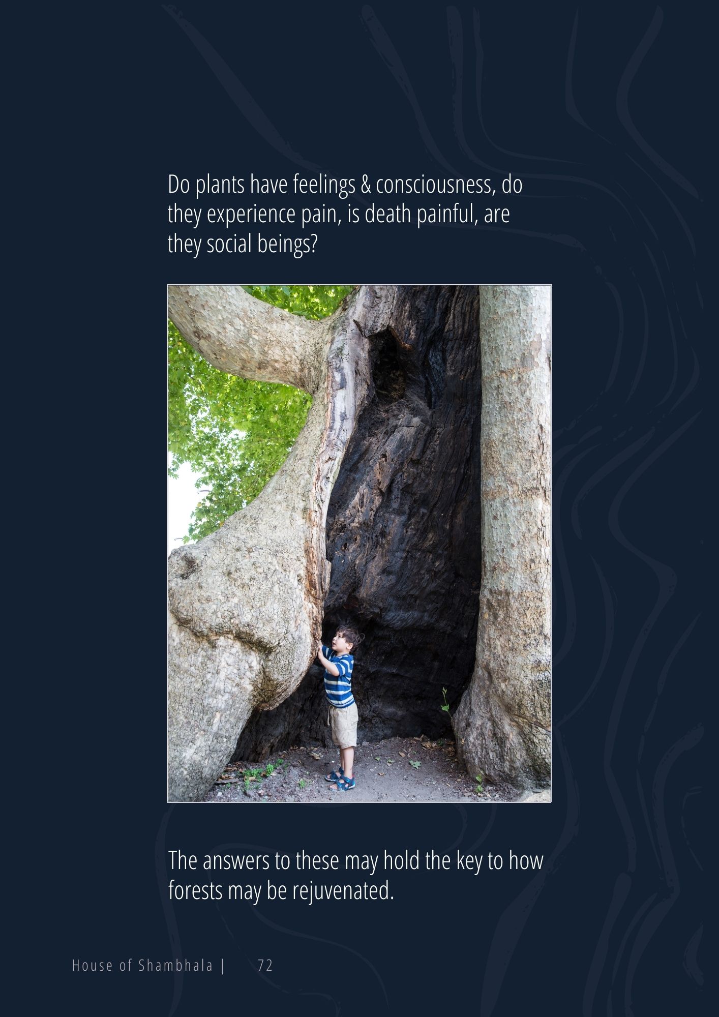 72